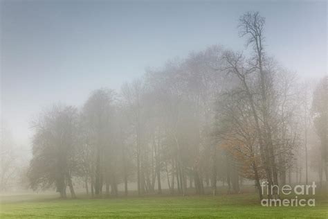 Francisco javier gil conrado aparicio jose m manero alejandro padros. Fog in Chamarande, France Photograph by Francisco Javier Gil Oreja