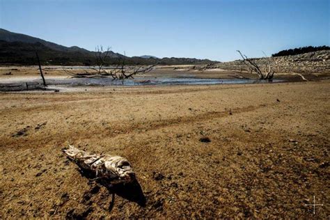 Western Cape Dam Levels Drop Again George Herald