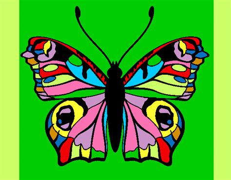 Dibujo De Una Mariposa 95b