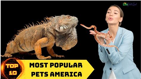 Top 10 Most Popular Pets America Youtube
