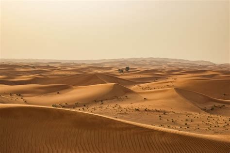Free Images Dune Adventure Summer Travel Dry Africa Desert