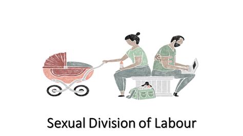 Sexual Division Of Labour Part 1 602 Women In Indian History Youtube