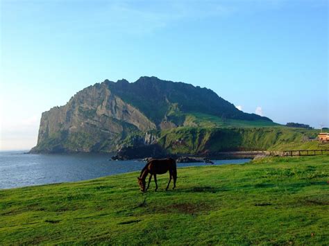 Attraction Jeju Island Tourist Spot Tourist Destination In The World