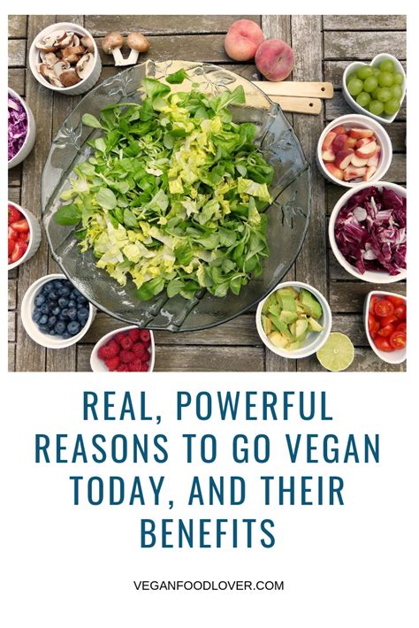 The Best Reasons To Go Vegan Today And Its Benefits Reasons To Go Vegan Going Vegan