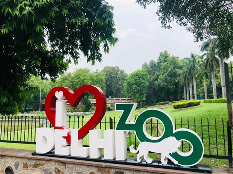 The National Zoological Park In Delhi Has Reopened