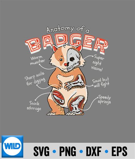 Badger Anatomy Svg Funny Badger Anatomy Of A Badger Girls Svg Wildsvg