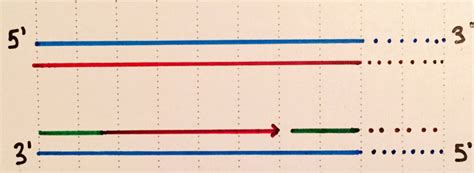 Diagrams are available for all warmup thermostats whether you are installing it as part of a. Wiring Diagram For Weathertron Thermostat - Wiring Diagram Schemas