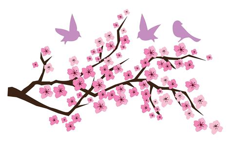 Clip Art Cherry Blossom Flower Clip Art Library