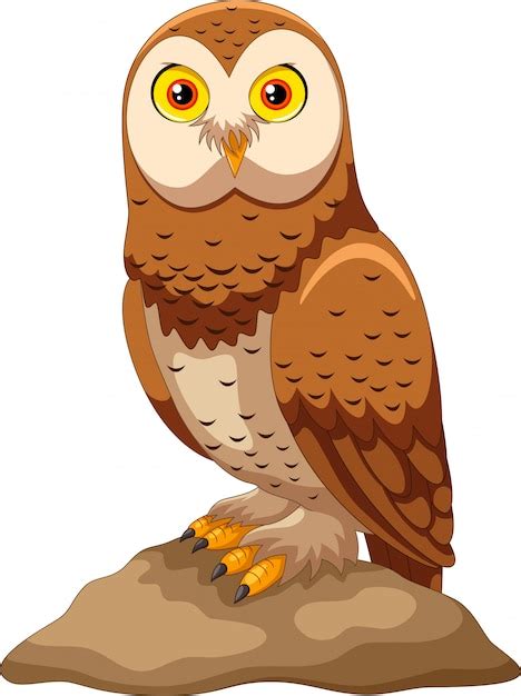 Premium Vector Cute Owl Cartoon