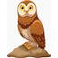 Cute Owl Cartoon  Premium Vector