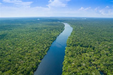The nile has long been considered the longest river in the world. What Is The Longest River On Earth - The Earth Images ...