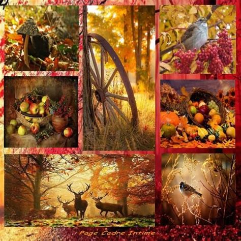 Collages De Photos Fall Pictures Autumn Magic Autumn Scenes