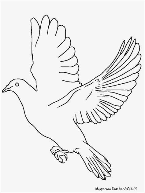Top Menggambar Sketsa Burung Merpati | Sketsabaru