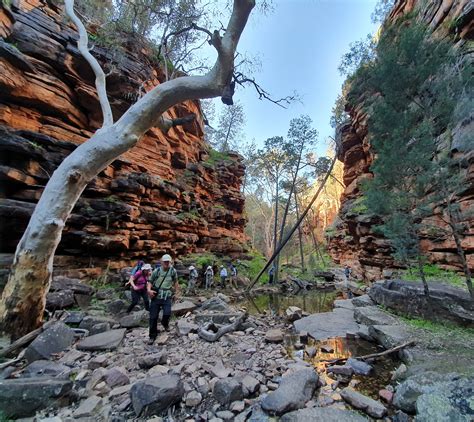 Flinders Ranges guided walking tour - Inspiration Outdoors