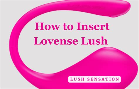 How To Insert And Use The Lovense Lush Full Guide