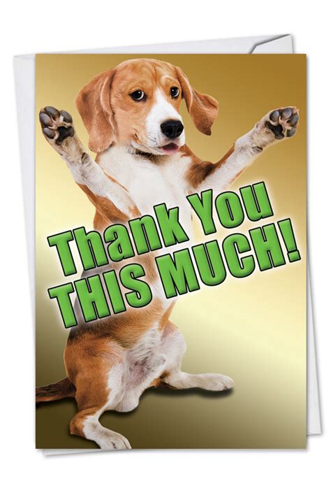 'do something today that your future vector funny cartoon hand drawn thank you card with dog. This Much Dog Petigreet Thank You Paper Card