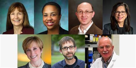 Seven Johns Hopkins Researchers Named Aaas Fellows Hub