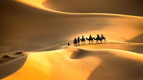 Desierto Del Sáhara 2021 Los 10 Mejores Tours Y Actividades Con Fotos Cosas Que Hacer En