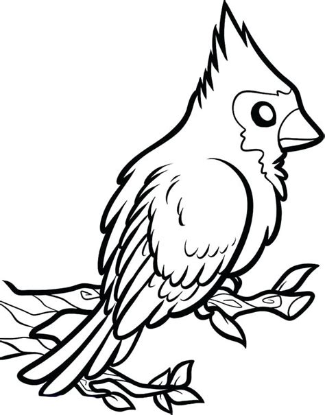 Cardinal Coloring Pages Preschool Daylight Savings Time Coloring