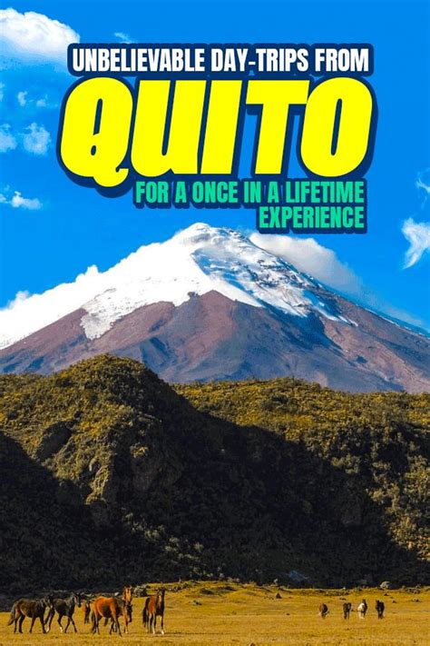 Unbelievable Day Trips From Quito For A Once In A Lifetime Experience