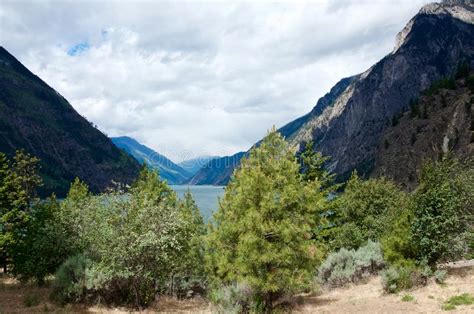 Mountain Turquoise Seton Lake And Coniferous Forest Stock Image Image