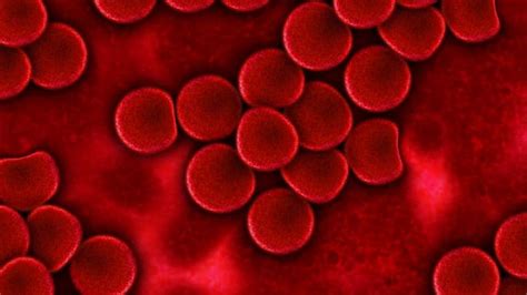 Sickle cell anemia) ist eine erbliche erkrankung der roten blutkörperchen (erythrozyten). CBD bei Sichelzellenanämie🥇 Ratgeber Studien & Wirkung