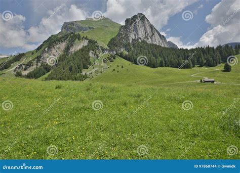 Rolling Meadows Swiss Alps Stock Photo Image Of Meadows 97868744