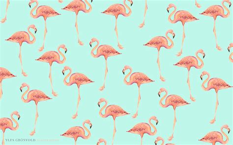 Flamingo Laptop Wallpapers Top Free Flamingo Laptop Backgrounds
