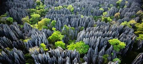 Tsingy de Bemaraha | Une réserve naturelle intégrale