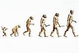 Charles Darwin Theory Evolution Photos