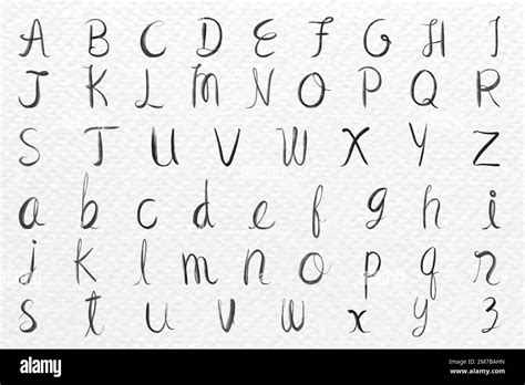 Cursive Calligraphy Alphabet Vector Font Typography Stock Vector Image