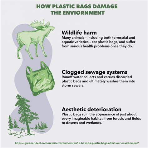 Infographic How Plastic Bags Damage The Environment Tommiemedia