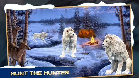 Angry Wild Lion Animal Hunting Adventure Game
