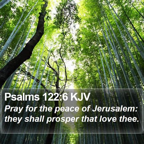 Psalms 1226 Kjv Pray For The Peace Of Jerusalem They Shall