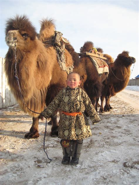 Mongolia At Murun Most Kids Here In The Us Just Want A Puppy