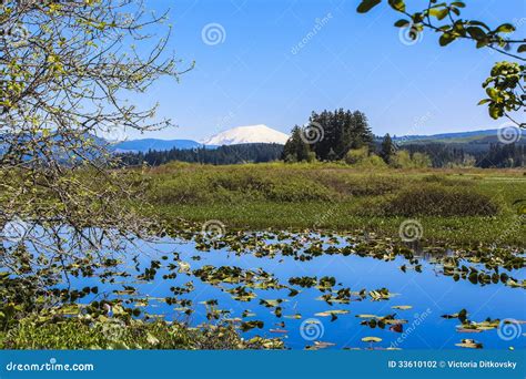 Silver Lake And Mtsthelens On Horizon Stock Photo Image Of Outside