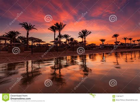 Beautiful Romantic Sunset Over A Sandy Beach And Palm