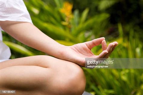 yoga hands and knees photos and premium high res pictures getty images