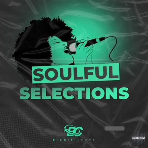 Download Big Citi Loops Soulful Selections Wav Audioz