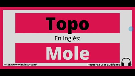 Cómo Se Dice Topo En Inglés Topo En Ingles Youtube
