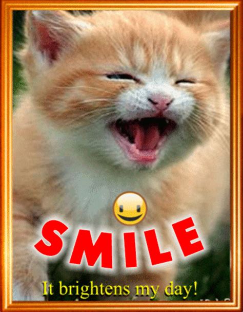 Smiling Kitty Free Smile Month Ecards Greeting Cards 123 Greetings