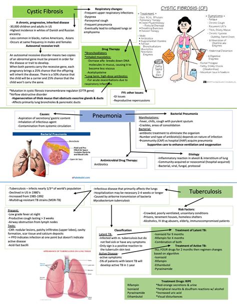 Cystic Fibrosis Pneumonia Tuberculosisventilationasthmacopdtb