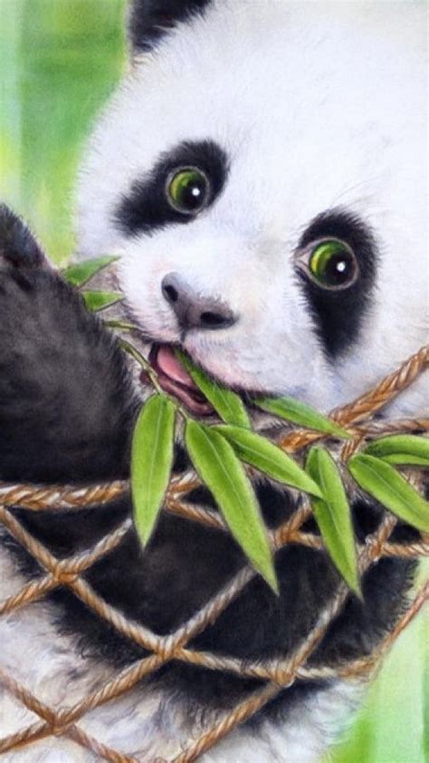 Make your cell phone /mobile phones look professional with amazing plain backgrounds. Cute Panda HD Wallpapers For Android - 2020 Android Wallpapers