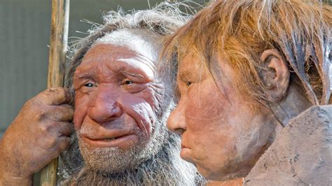 humans neanderthals mated earlier than thought