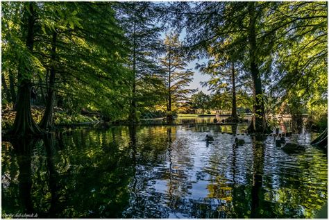 There is currently no additional information. Herbstlicht im Botanischen Garten Hamburg Foto & Bild ...