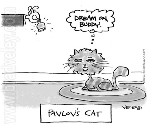 Pavlovs Cat Bradford Veley
