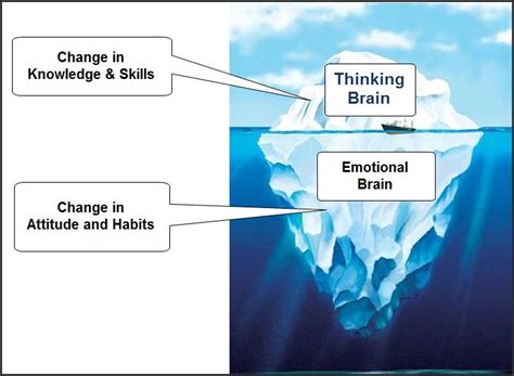 Neuroplasticity Behavioral Therapy Emotions Feelings Mental