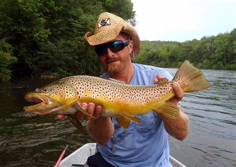 Fly Fishing Photo Larry Babin With A Big Brown The Venturing Angler