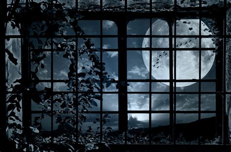 Fantasy Art Window Moon Night 3994x2632 Wallpaper Wallhavencc