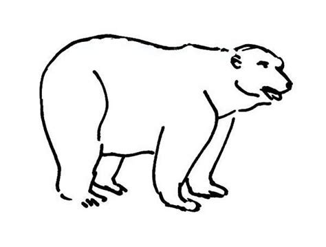 Check spelling or type a new query. Bear coloring pages